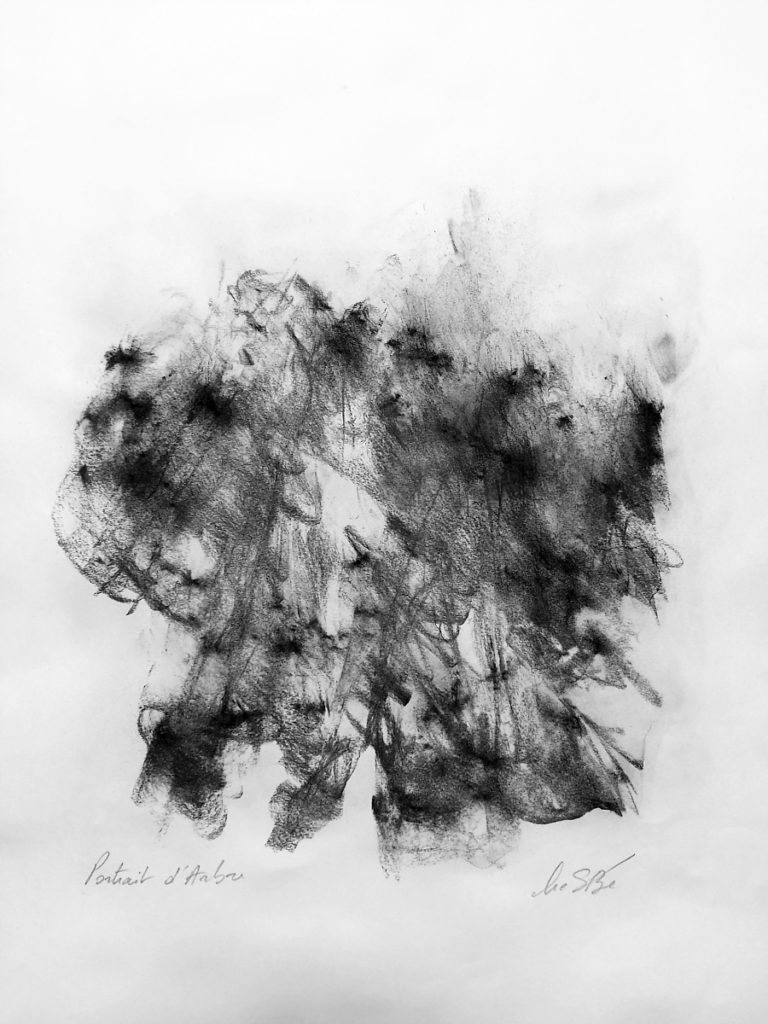 portrait-d-arbre-1_SB