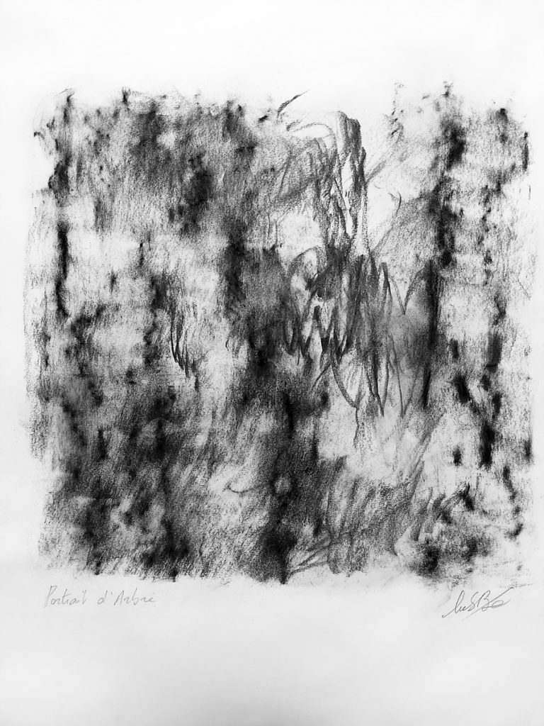 portrait-d-arbre-2_SB