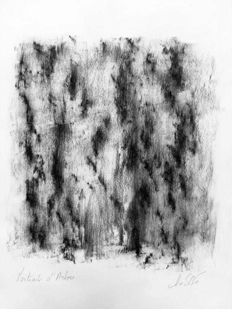 portrait-d-arbre-3_SB